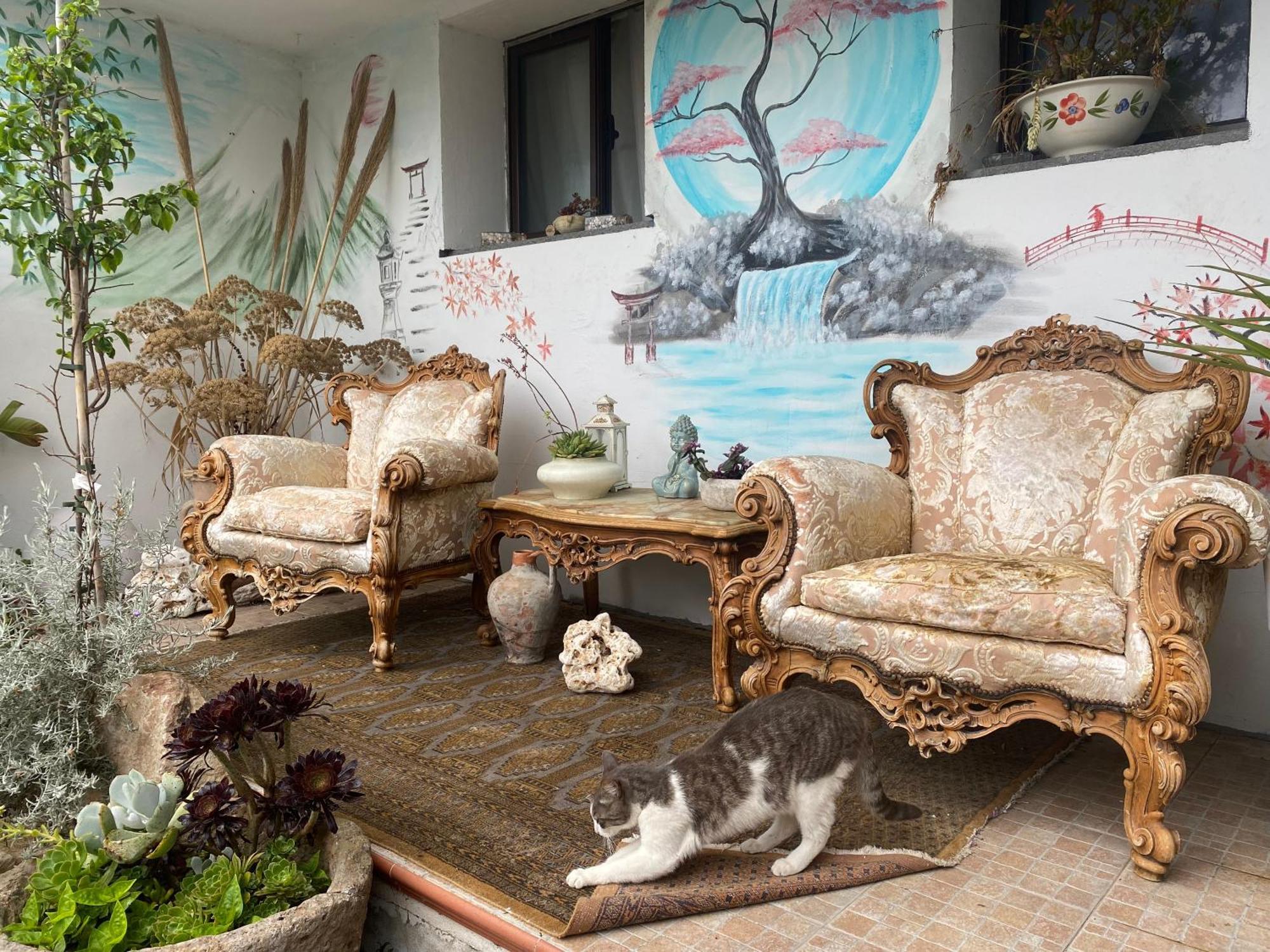 Bed and Breakfast Juniper Bay Портоскузо Экстерьер фото